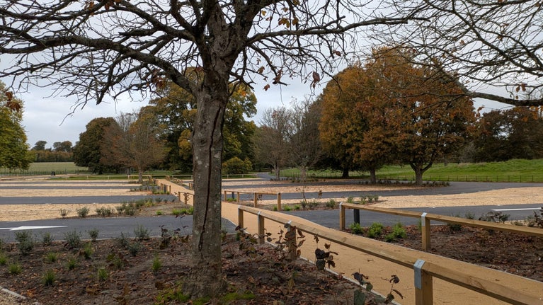 A landscaped car park, with trees and new planting